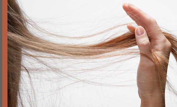 hair loss advice and treatment